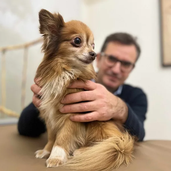 Janni hält einen kleinen langhaarigen Chihuahua sanft in beiden Händen